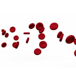 Red Blood Cells
